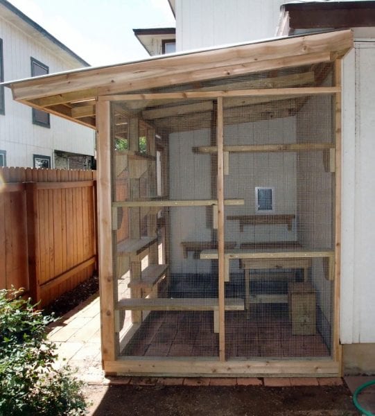 cat-carpenter-playground-vertical-project